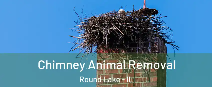  Chimney Animal Removal Round Lake - IL