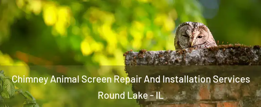 Chimney Animal Screen Repair And Installation Services Round Lake - IL