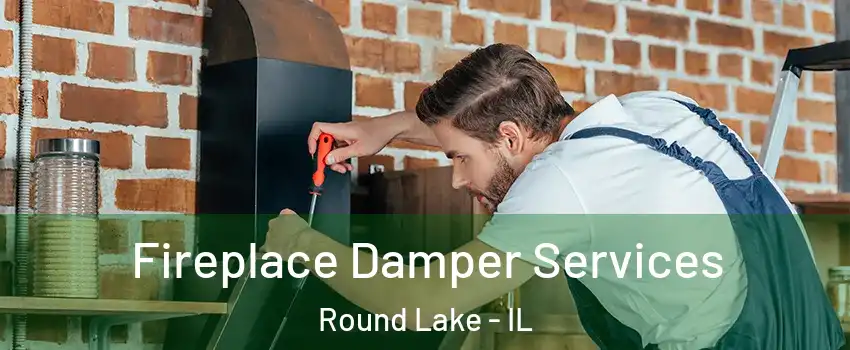  Fireplace Damper Services Round Lake - IL