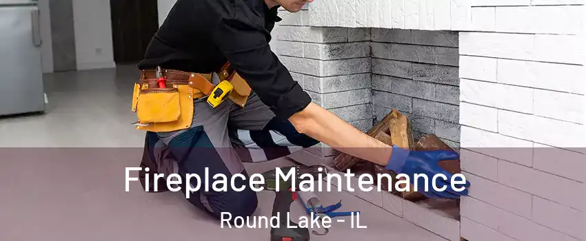  Fireplace Maintenance Round Lake - IL