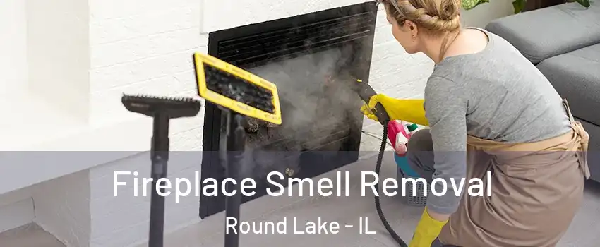  Fireplace Smell Removal Round Lake - IL