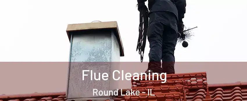  Flue Cleaning Round Lake - IL
