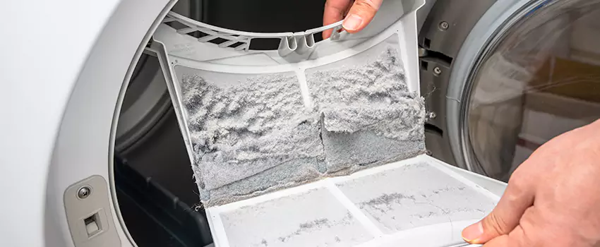 Best Dryer Lint Removal Company in Round Lake, Illinois