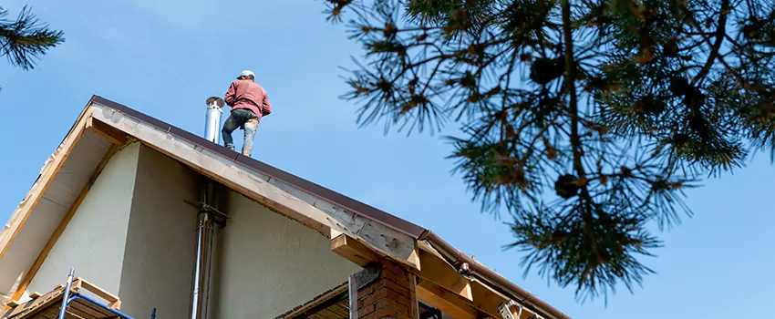 Birds Removal Contractors from Chimney in Round Lake, IL