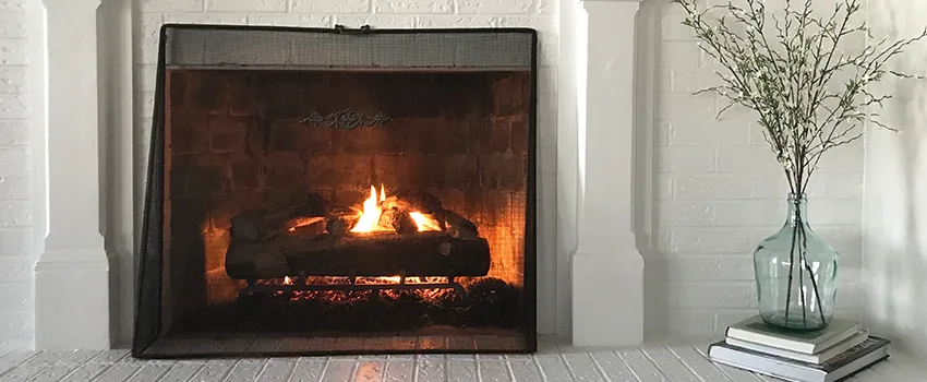 Cost-Effective Fireplace Mantel Inspection And Maintenance in Round Lake, IL