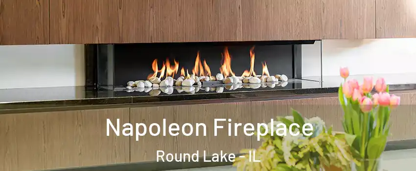  Napoleon Fireplace Round Lake - IL