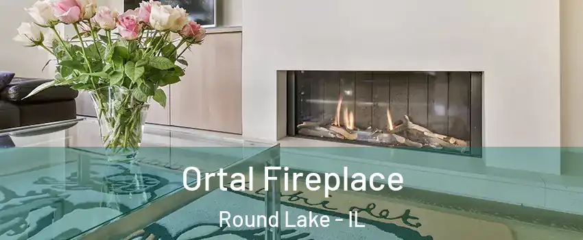  Ortal Fireplace Round Lake - IL